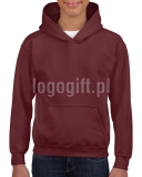 Bluza Heavy Blend Youth Hooded GILDAN ?>